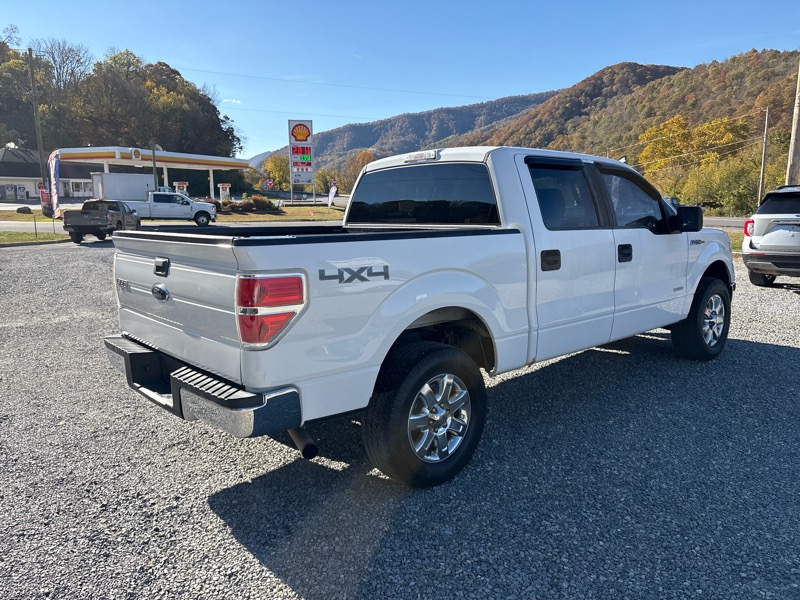 Ford F-150 4WD SuperCrew 145" XLT 2014 Ford F-150 4WD SuperCrew 145" XLT 2014