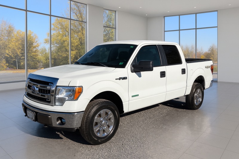 Ford F-150 4WD SuperCrew 145" XLT 2014 Ford F-150 4WD SuperCrew 145" XLT 2014