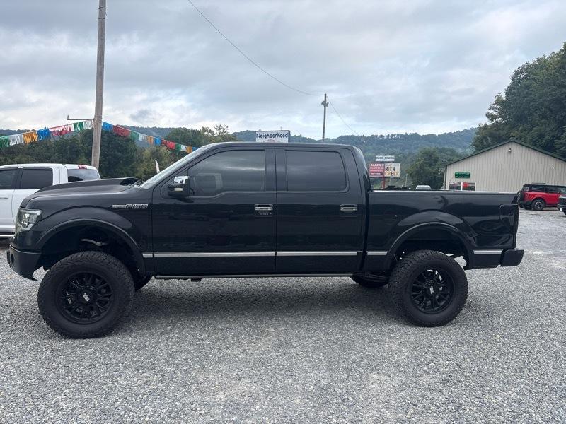 Ford F-150 4WD SuperCrew 145" Platinum 2014