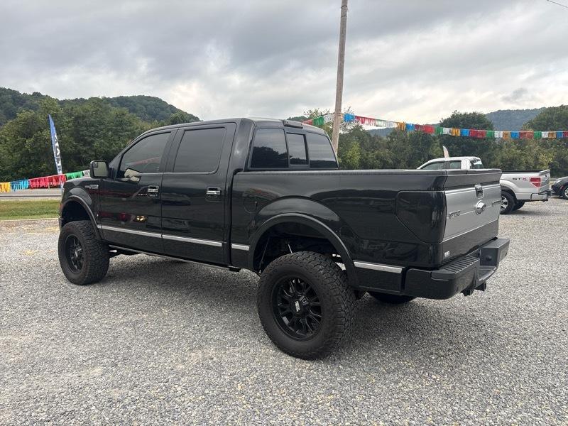 Ford F-150 4WD SuperCrew 145" Platinum 2014