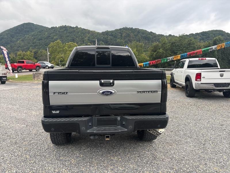 Ford F-150 4WD SuperCrew 145" Platinum 2014