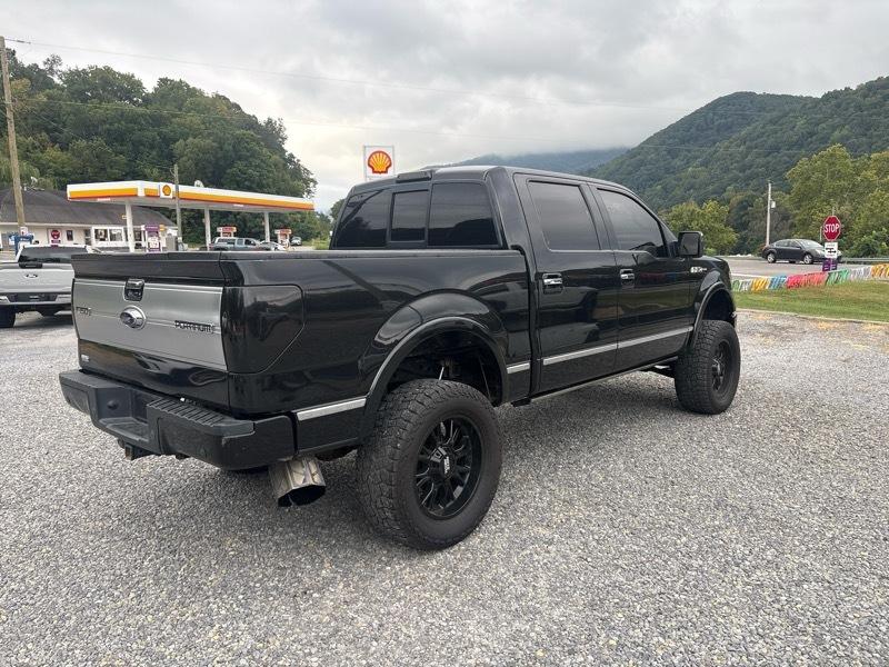 Ford F-150 4WD SuperCrew 145" Platinum 2014