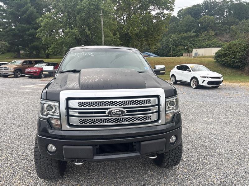 Ford F-150 4WD SuperCrew 145" Platinum 2014