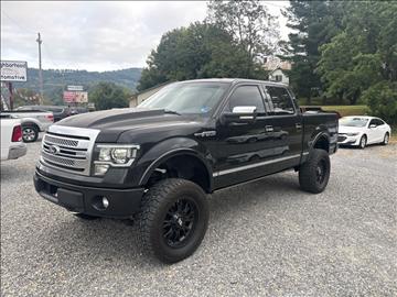 2014 Ford F-150 4WD SuperCrew 145" Platinum