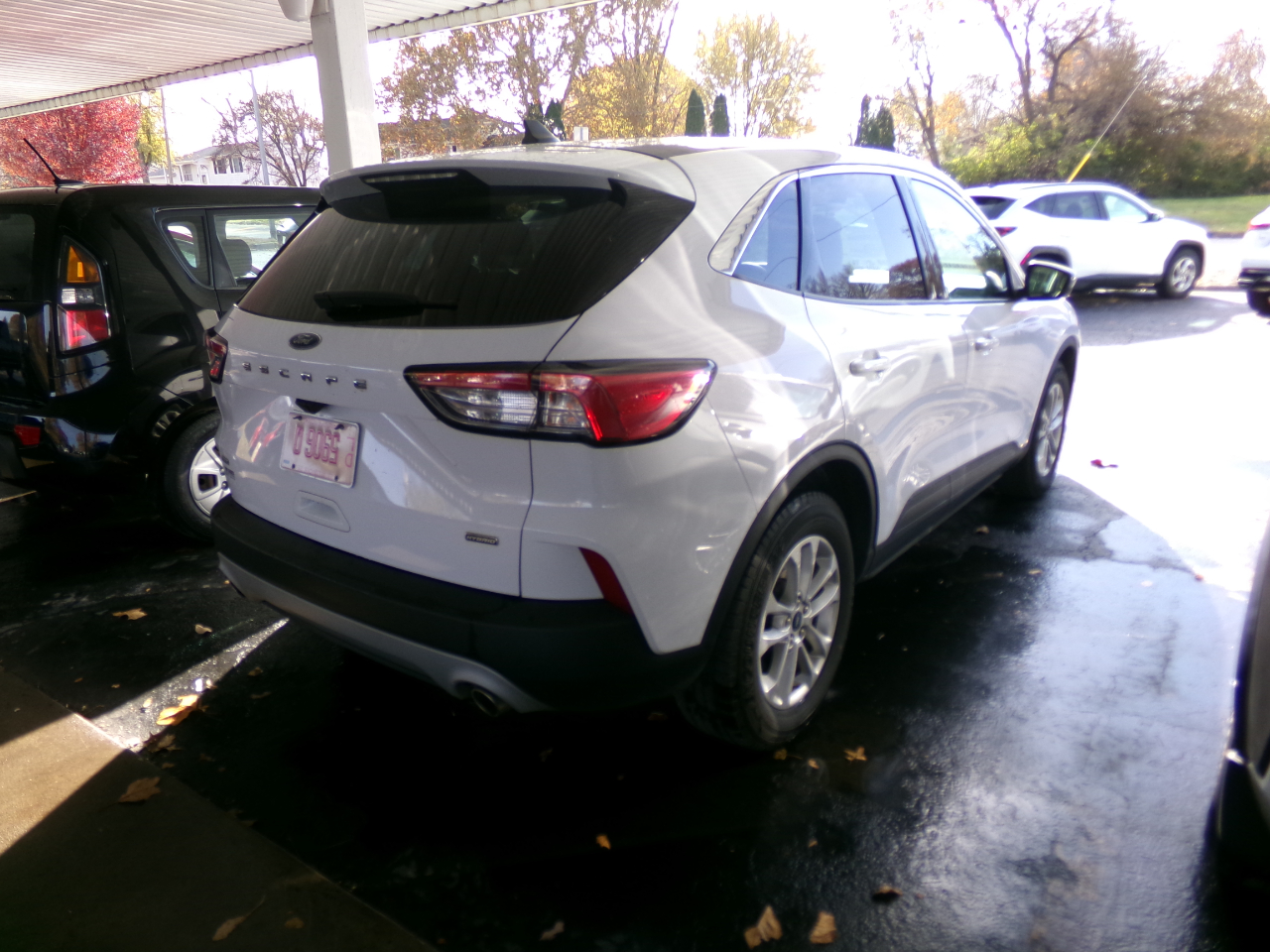 2021 Ford Escape SE Hybrid photo 4