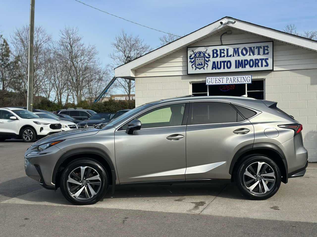 Lexus NX NX 300 AWD 2019