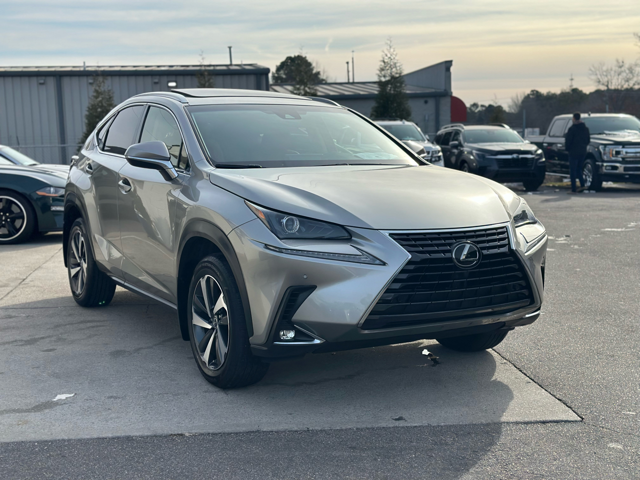 Lexus NX NX 300 AWD 2019