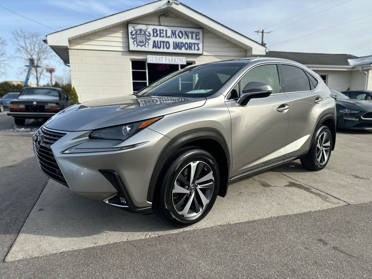 Lexus NX NX 300 AWD 2019