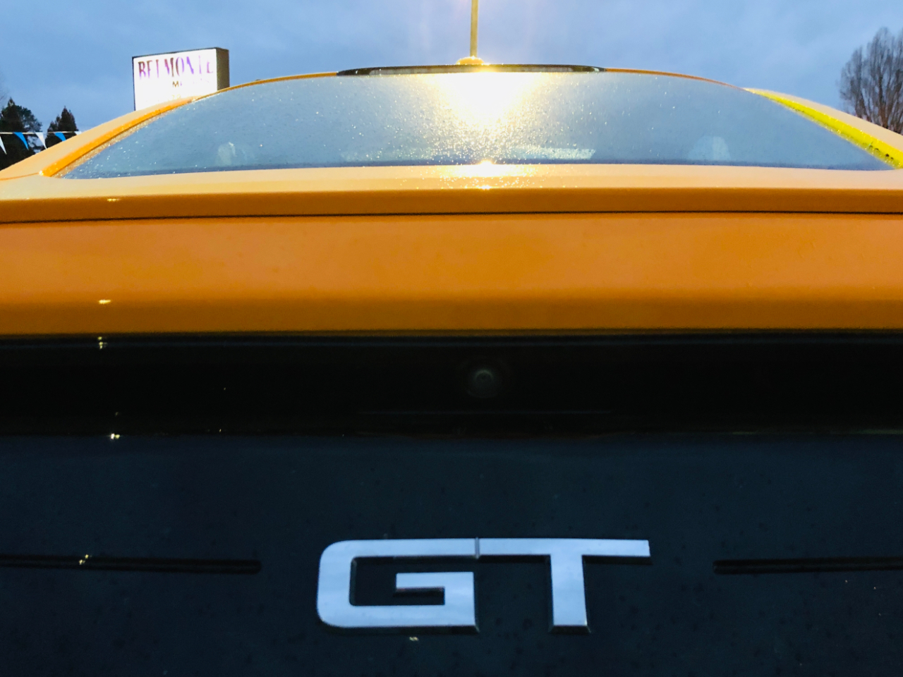 Ford Mustang GT Fastback 2019