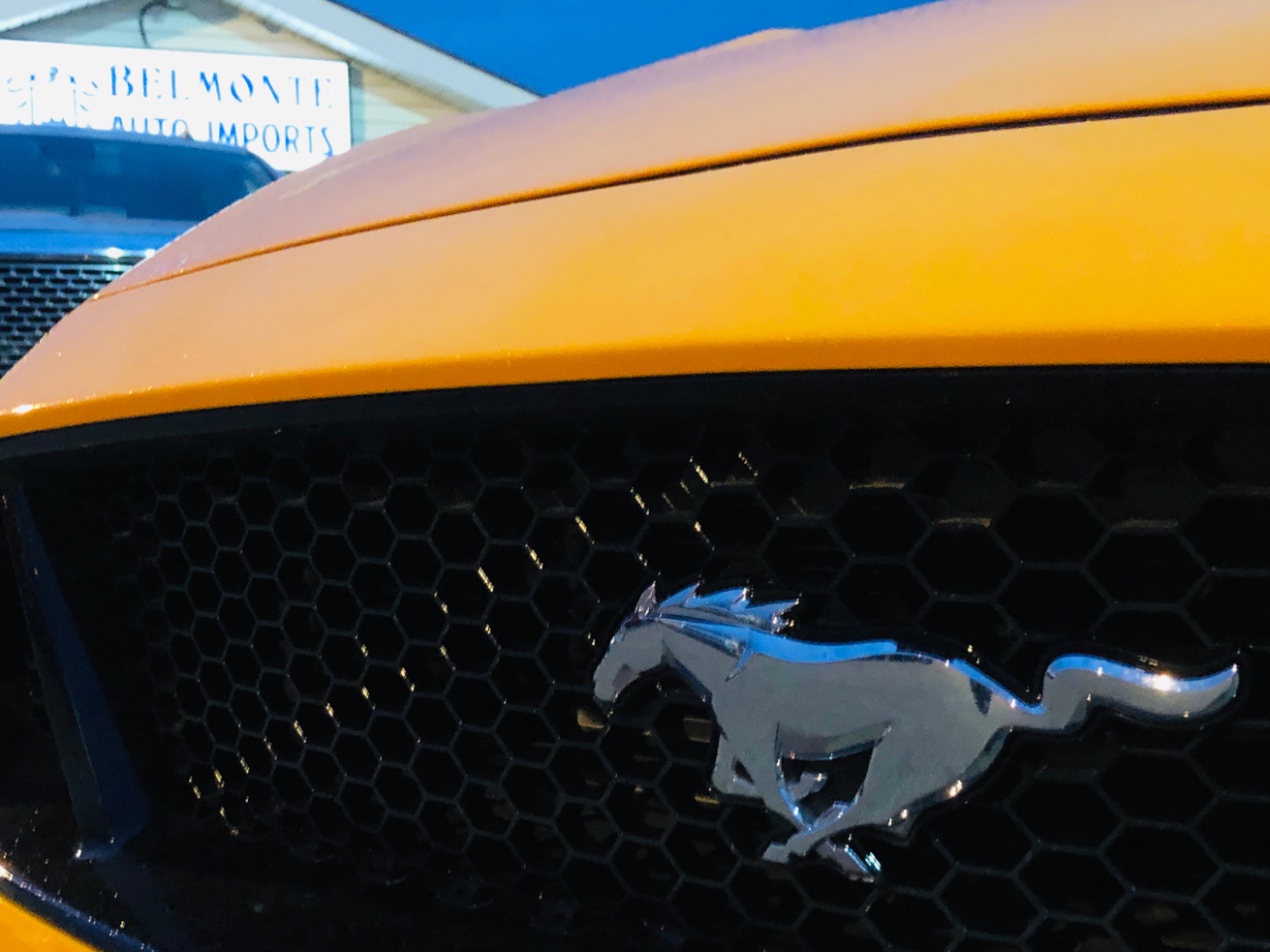 Ford Mustang GT Fastback 2019