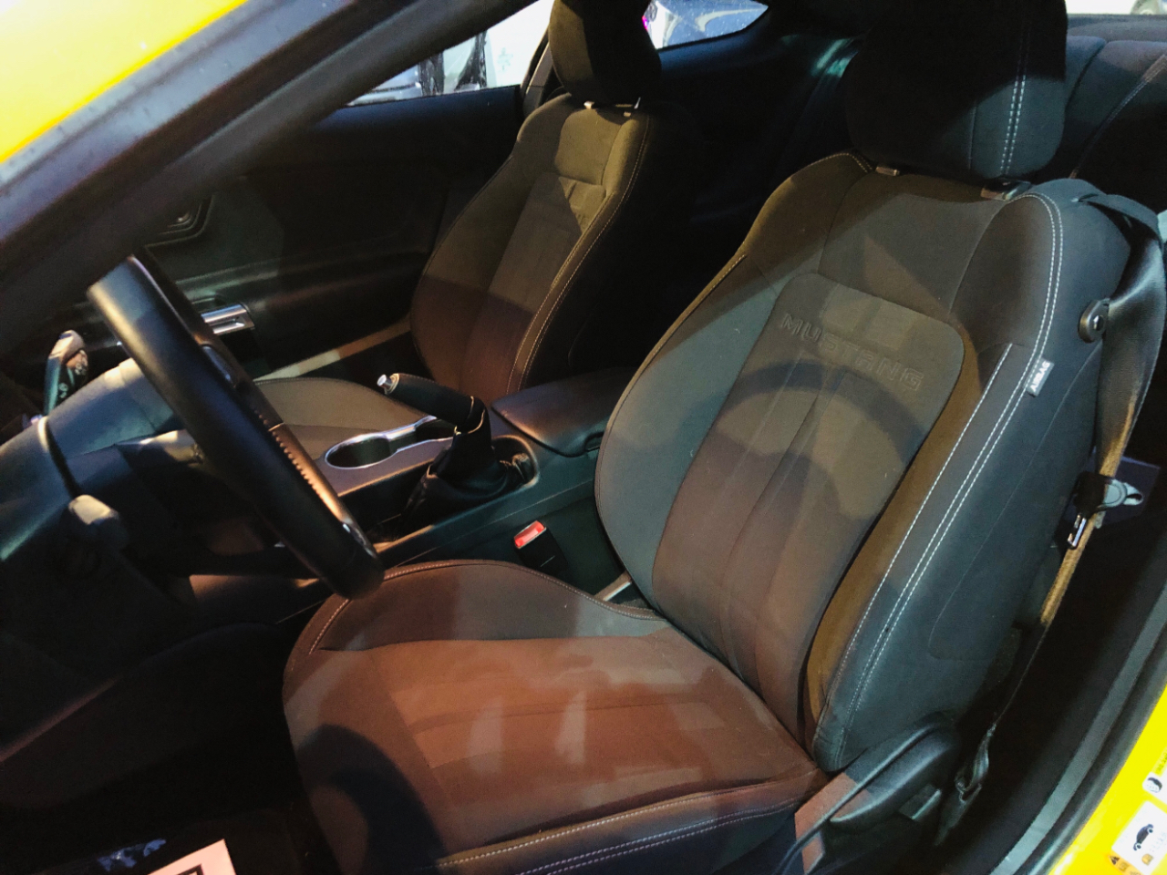 Ford Mustang GT Fastback 2019