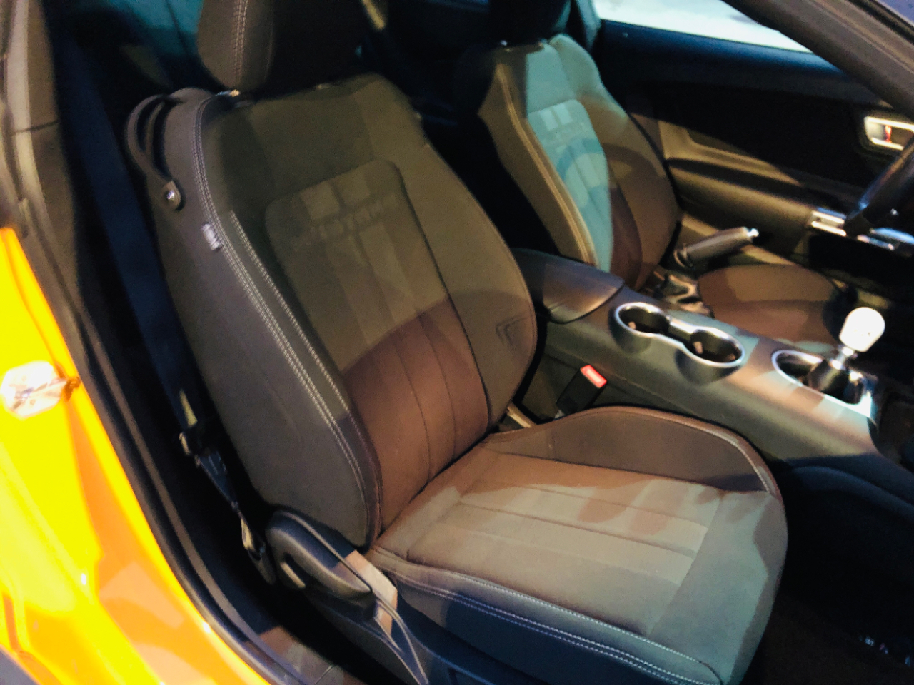 Ford Mustang GT Fastback 2019