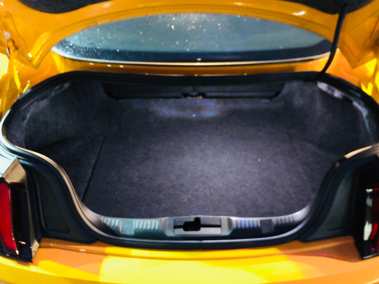 Ford Mustang GT Fastback 2019