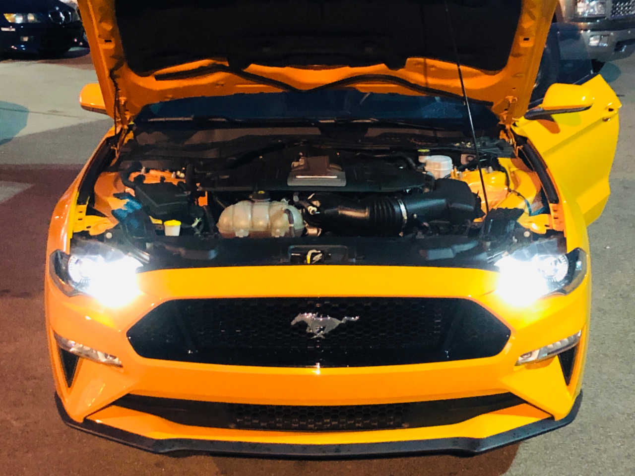 Ford Mustang GT Fastback 2019