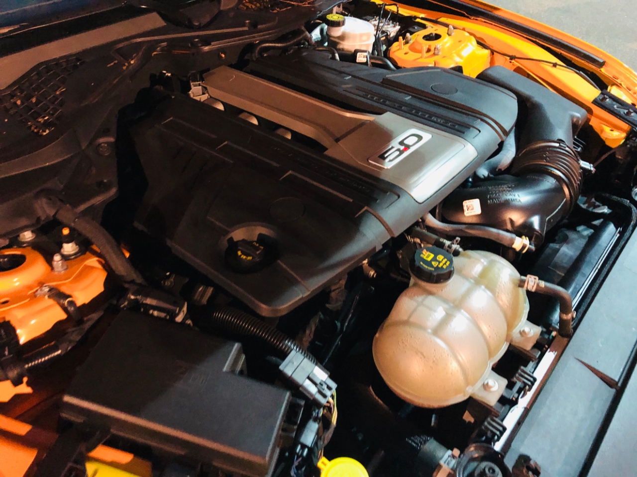 Ford Mustang GT Fastback 2019