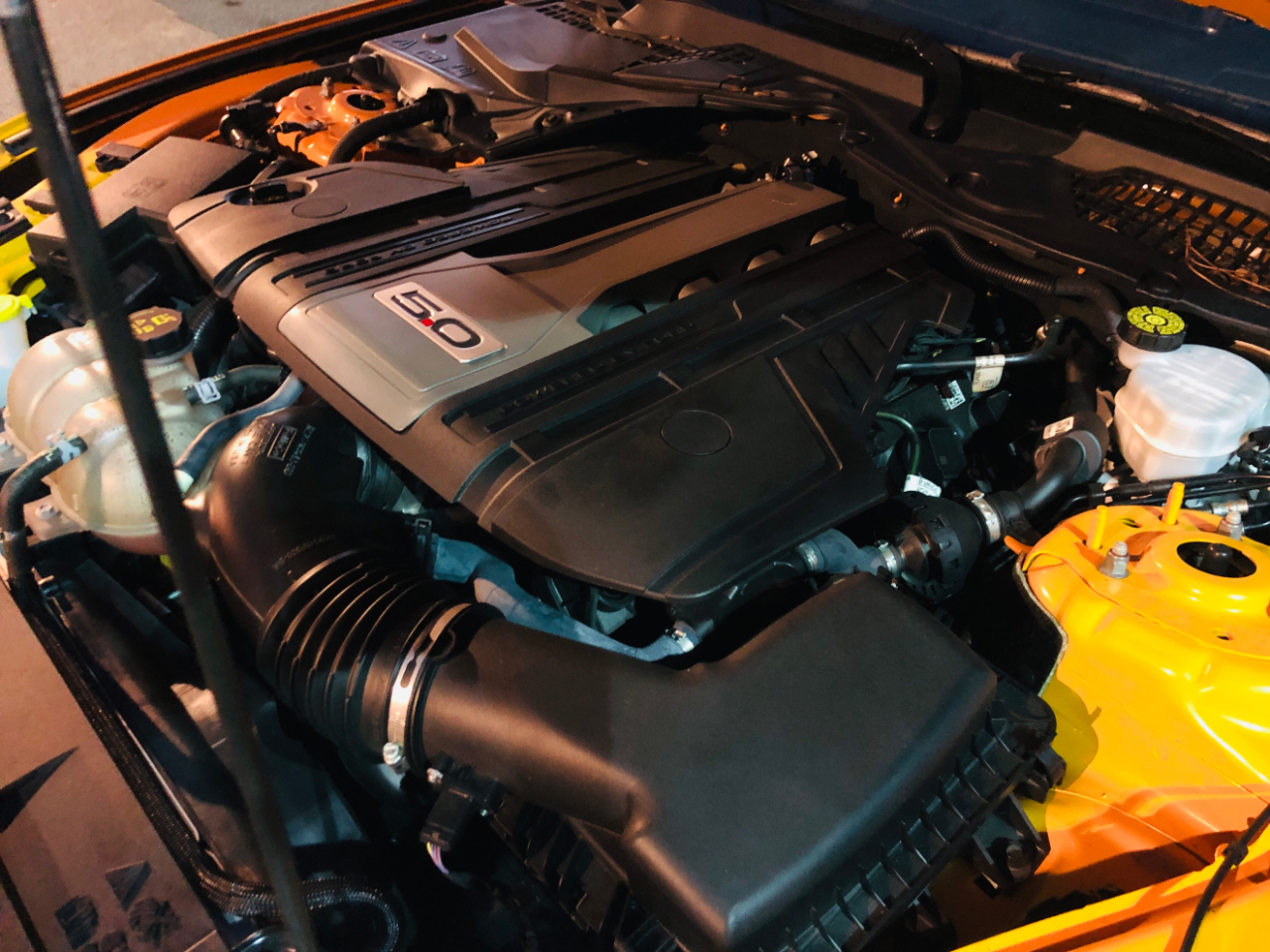 Ford Mustang GT Fastback 2019