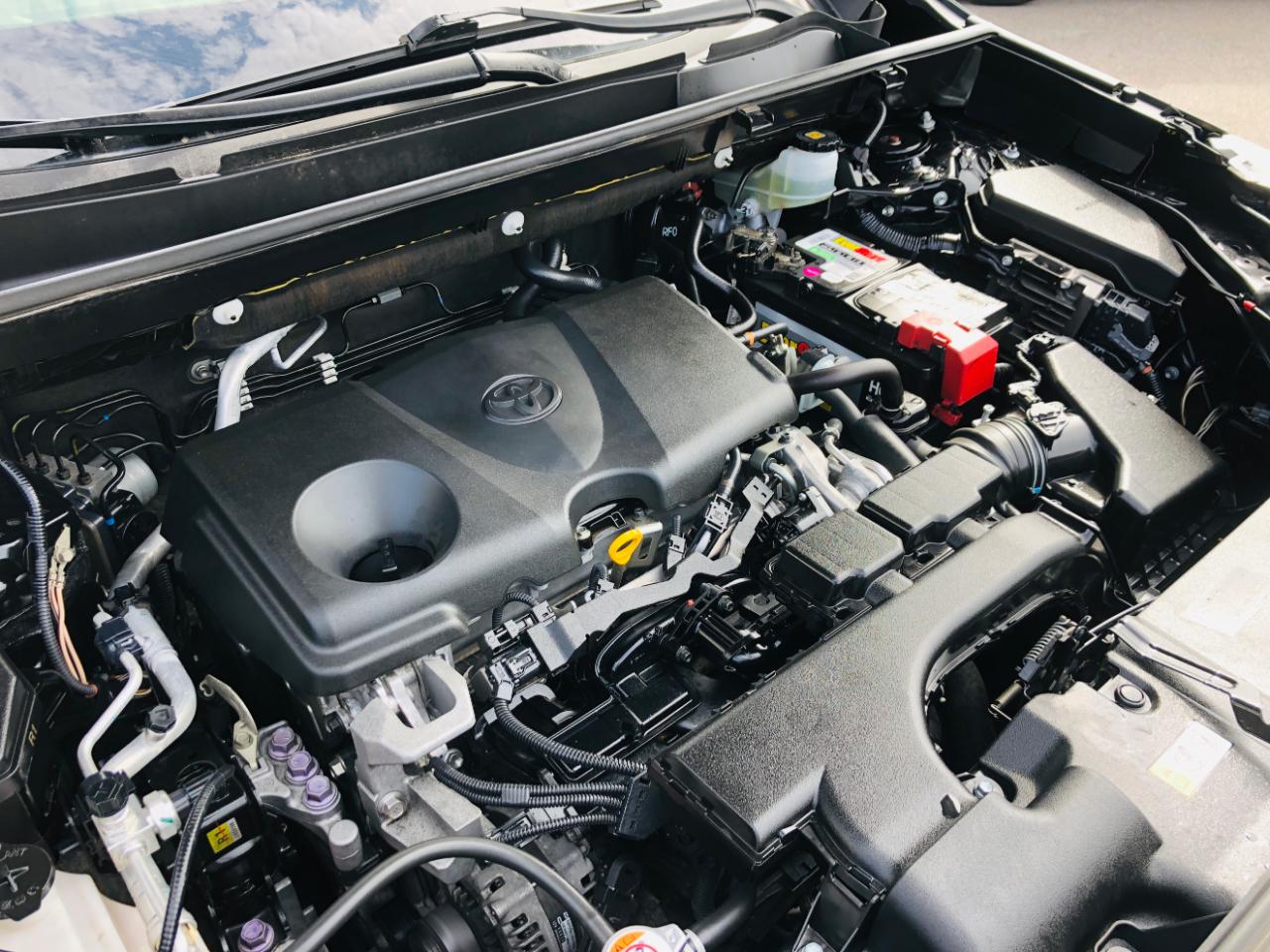 Toyota RAV4 XLE Premium AWD (Natl) 2020