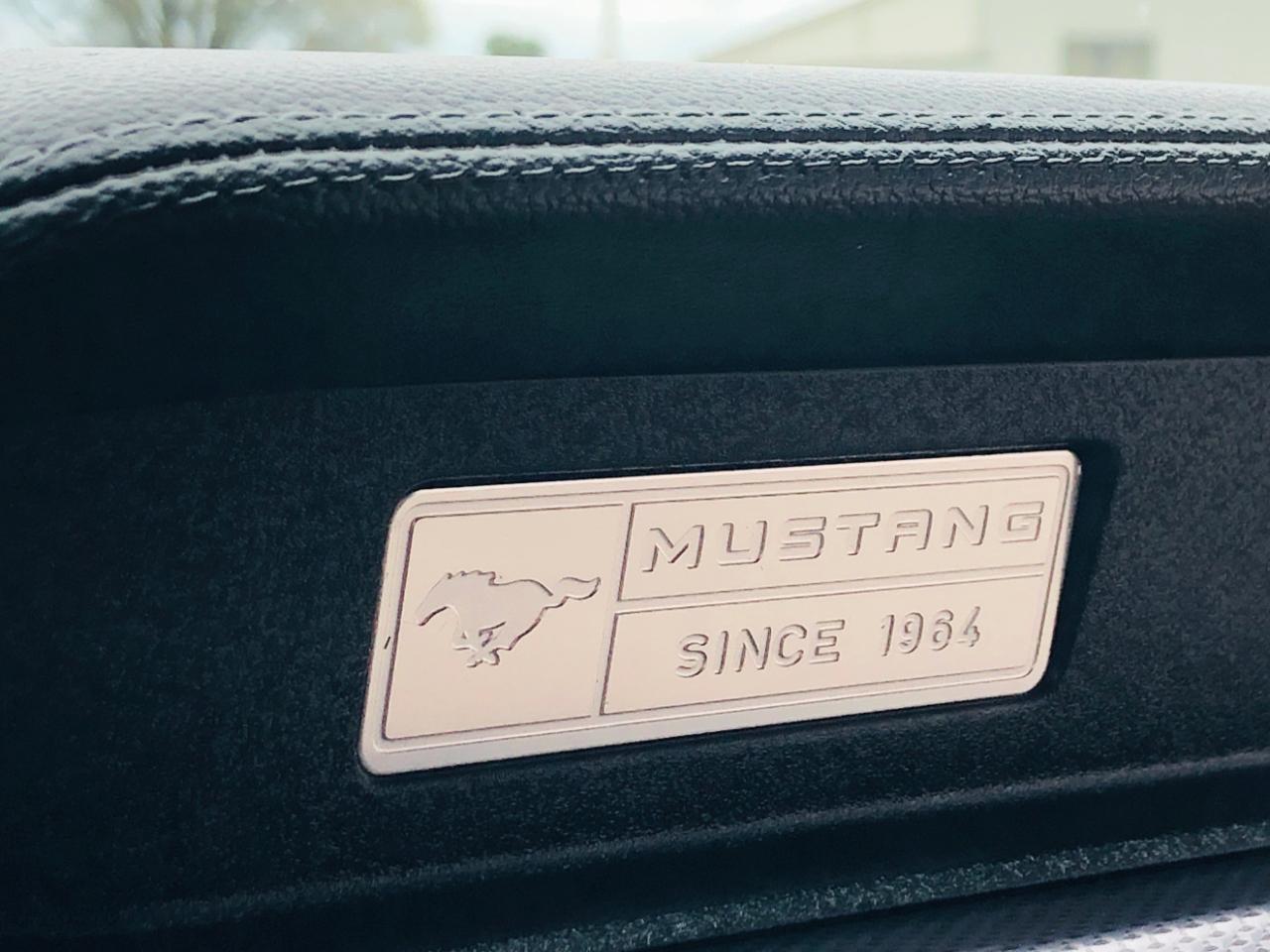 Ford Mustang EcoBoost Fastback 2017