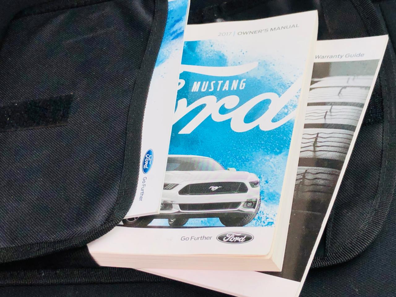 Ford Mustang EcoBoost Fastback 2017