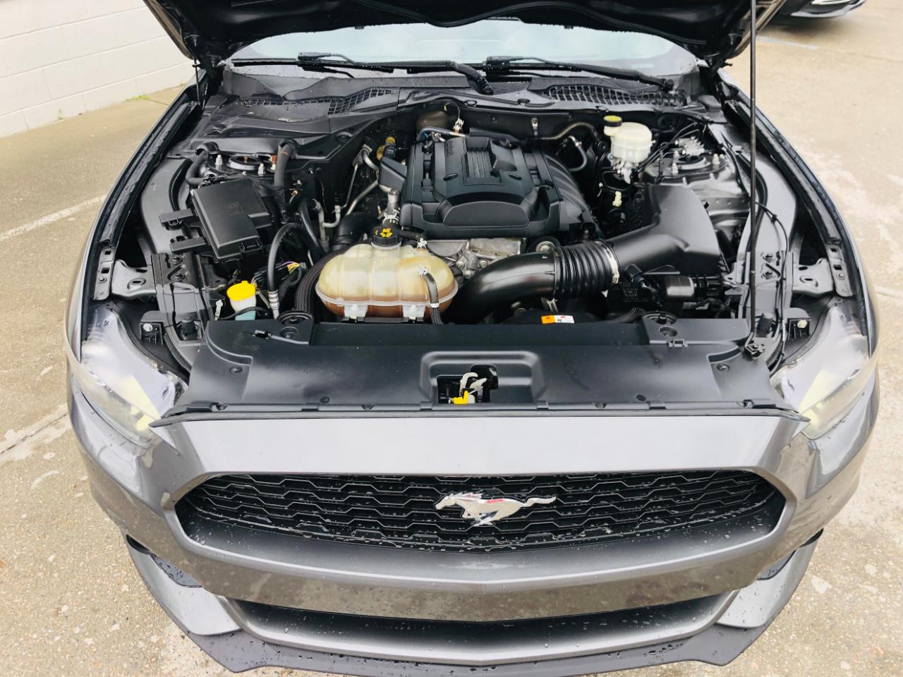 Ford Mustang EcoBoost Fastback 2017