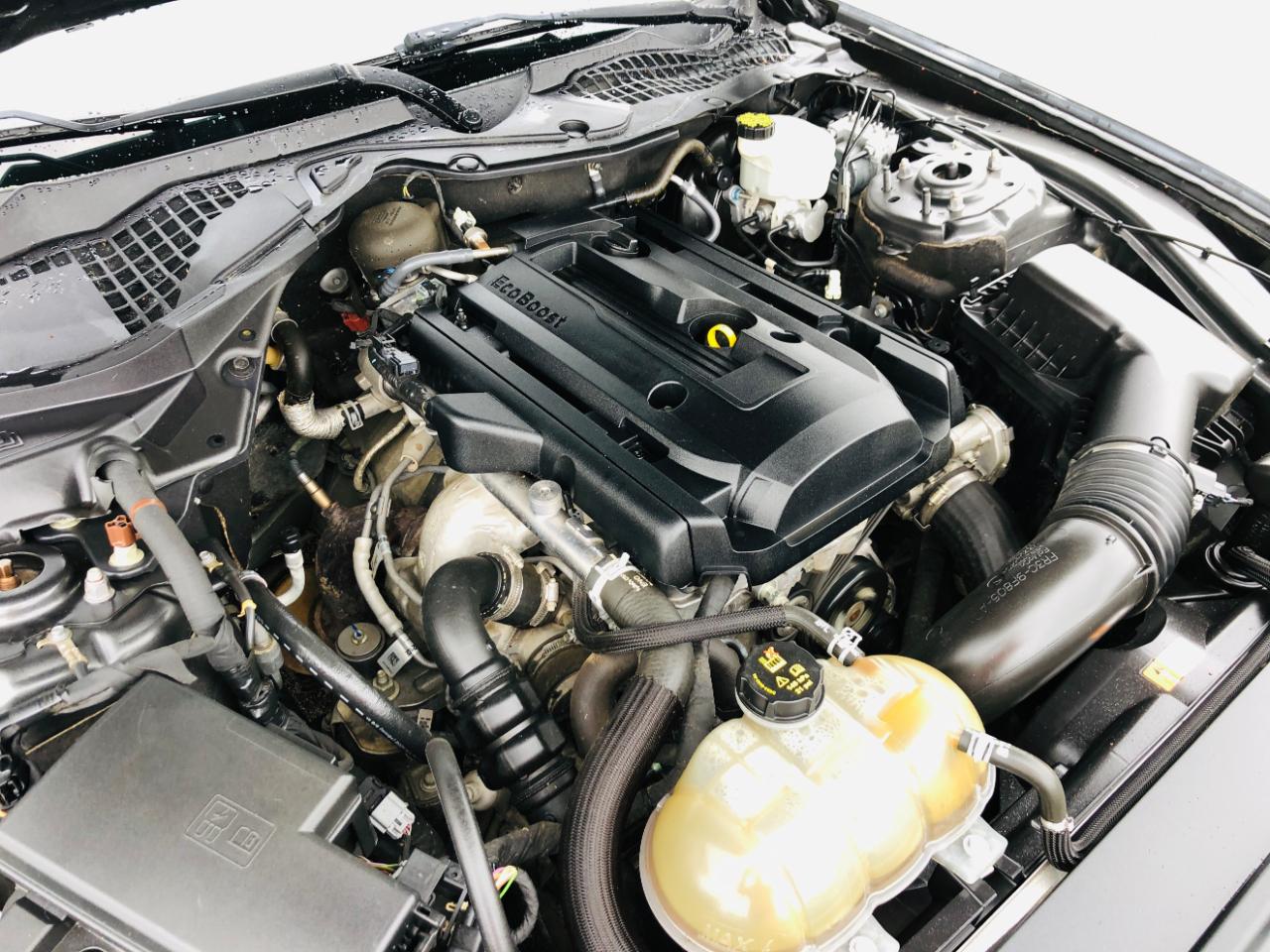 Ford Mustang EcoBoost Fastback 2017