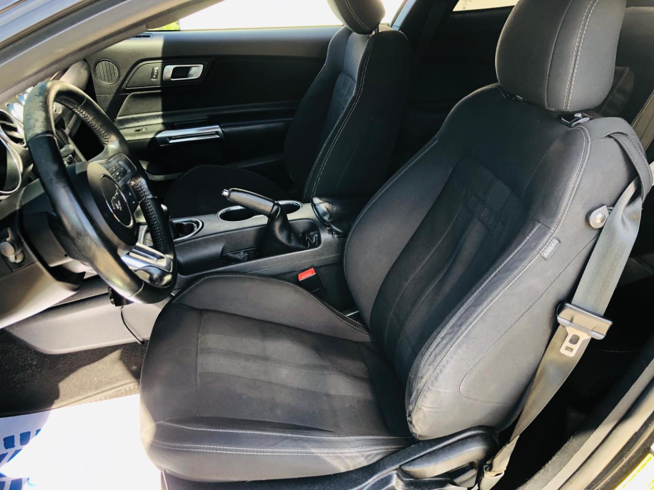 Ford Mustang GT Fastback 2019