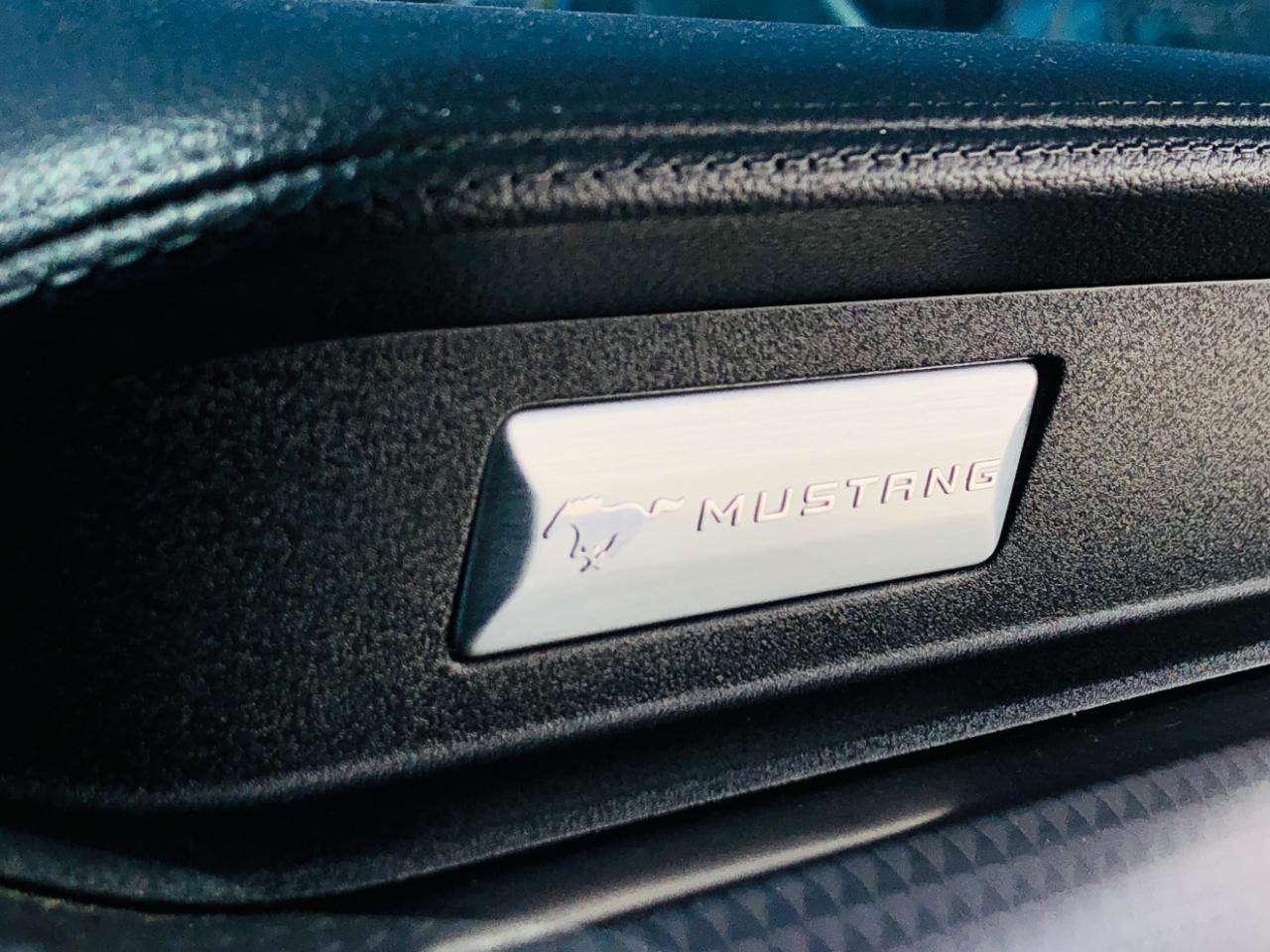 Ford Mustang GT Fastback 2019