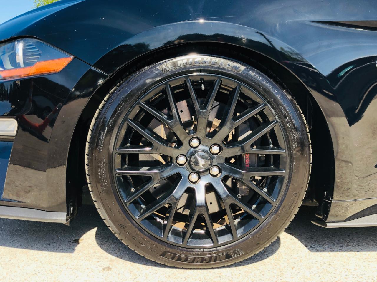 Ford Mustang GT Fastback 2019