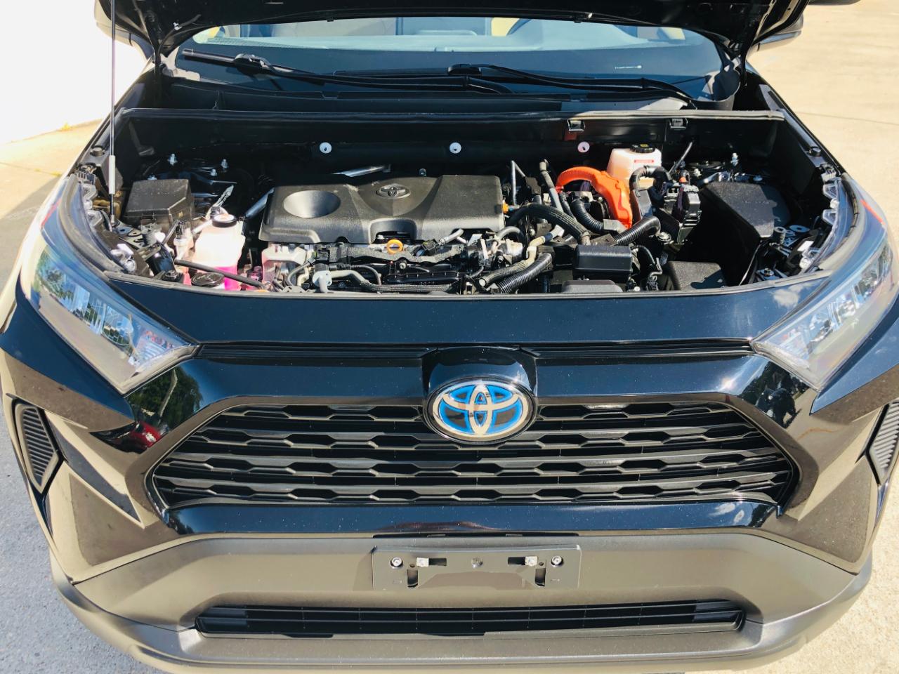 Toyota RAV4 Hybrid LE AWD (Natl) 2022