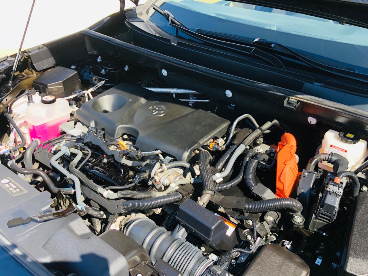 Toyota RAV4 Hybrid LE AWD (Natl) 2022