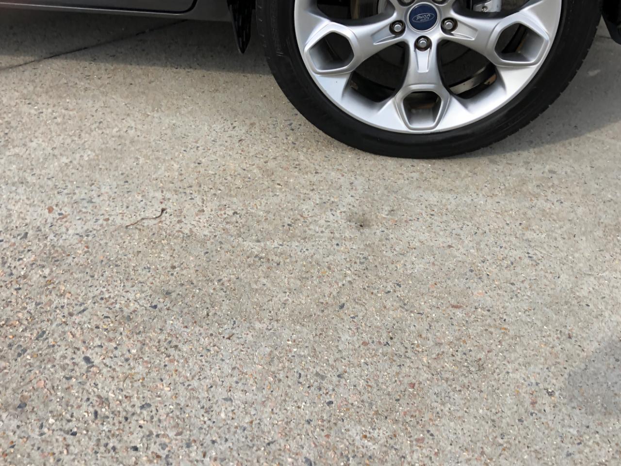 Ford Escape FWD 4dr Titanium 2013