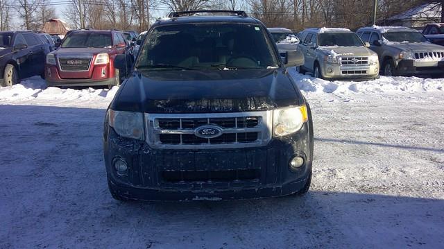 Ford Escape XLT 4WD 2011