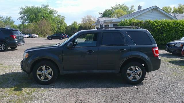 2009 Ford Escape XLT 4WD V6