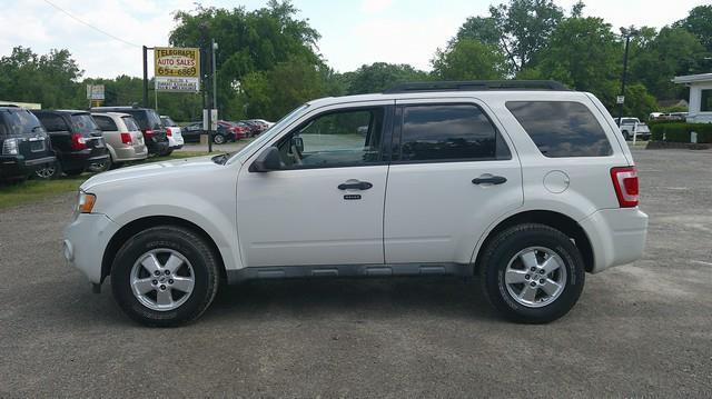 2010 Ford Escape XLT FWD