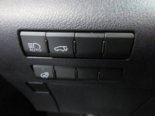 2019 Lexus RX 350 photo 49