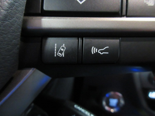2019 Lexus RX 350 photo 55