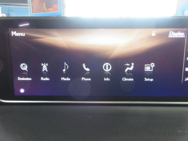 2019 Lexus RX 350 photo 61