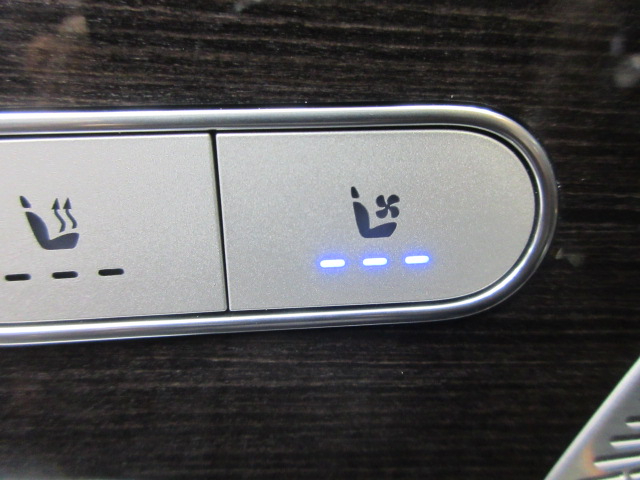 Mercedes-Benz GLE-Class GLE350 4MATIC 2020