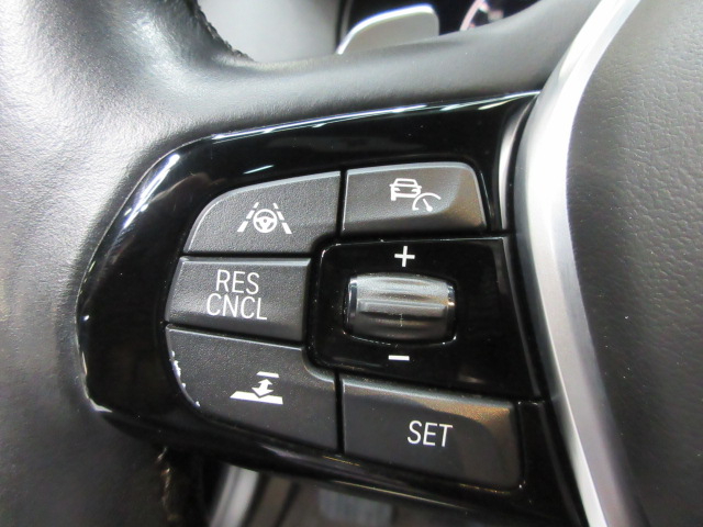 BMW 5-Series 530i xDrive 2019