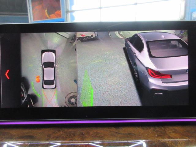 BMW 5-Series 530i xDrive 2019