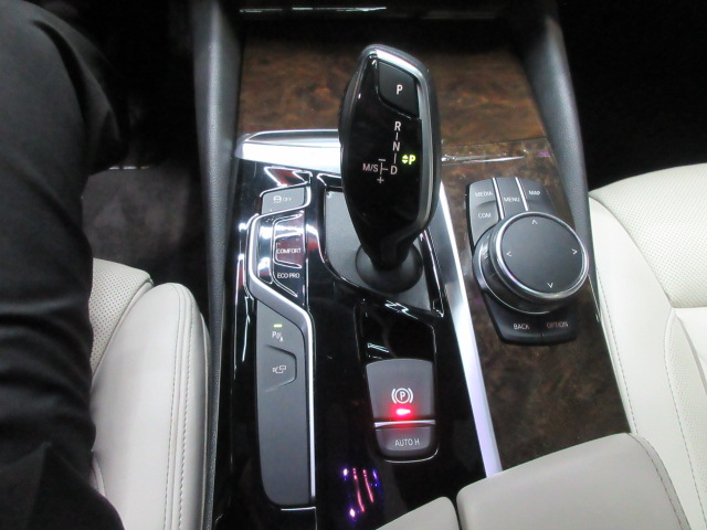 BMW 5-Series 530i xDrive 2019