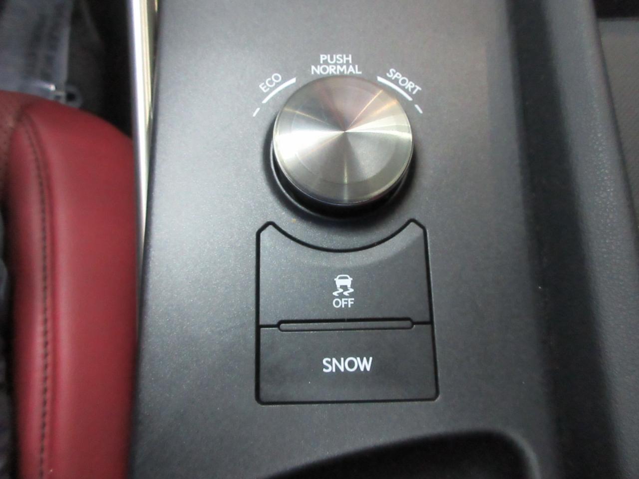 Lexus IS IS 300 F Sport AWD 2019