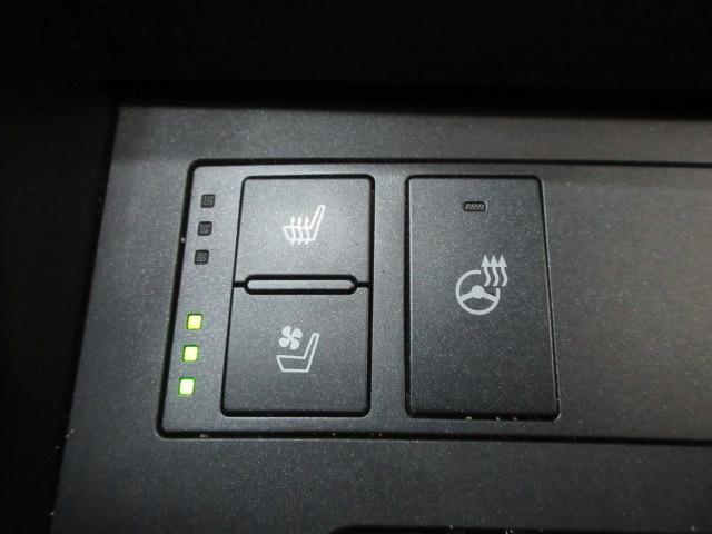 Lexus IS F SPORT 350 AWD 2023