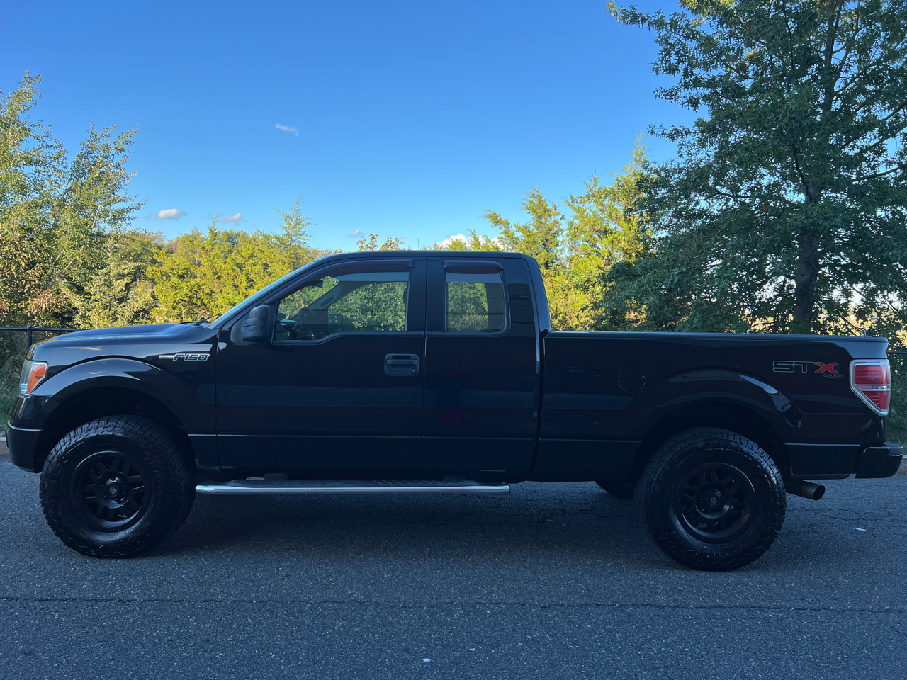 2013 Ford F-150 FX4 photo 2