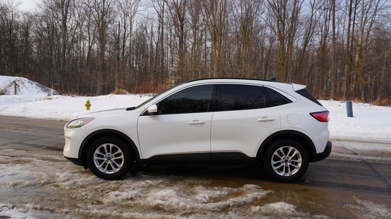 Ford Escape SE FWD 2020