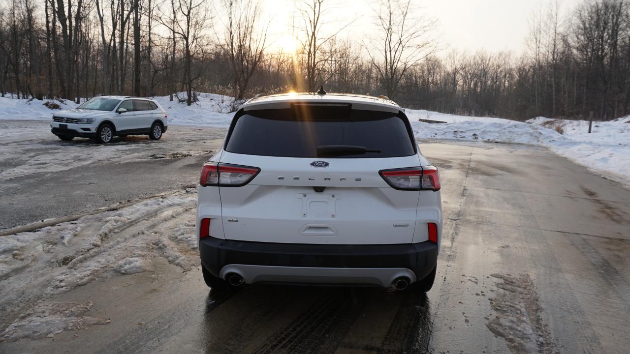 Ford Escape SE FWD 2020