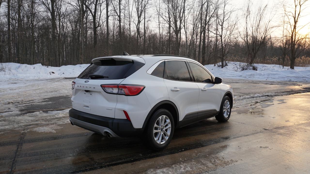 Ford Escape SE FWD 2020