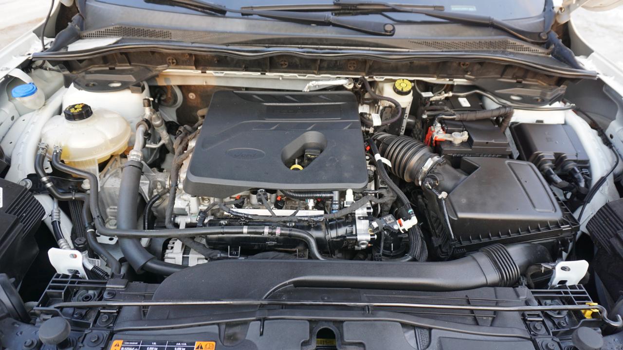 Ford Escape SE FWD 2020