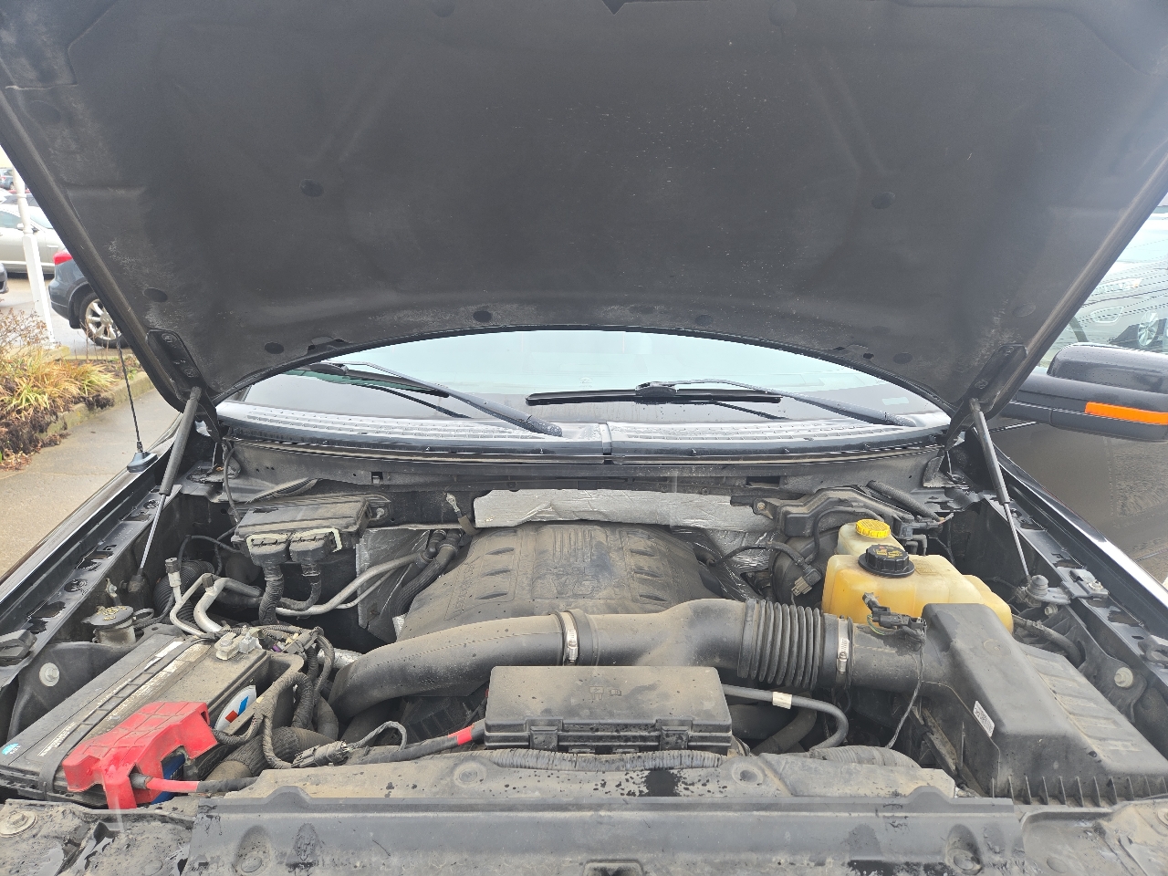 Ford F-150 4WD SuperCrew 145" FX4 2014