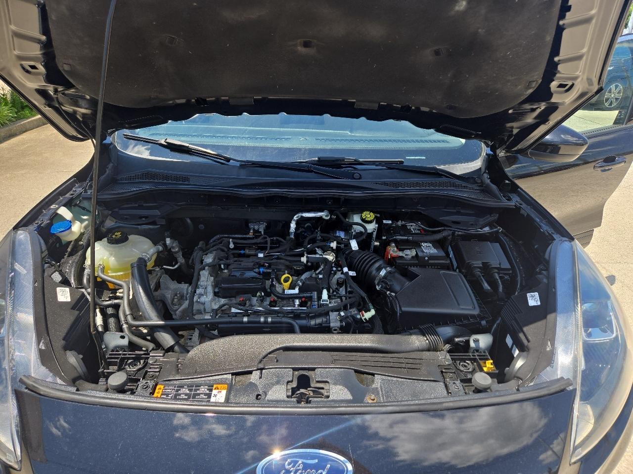 Ford Escape SE FWD 2021